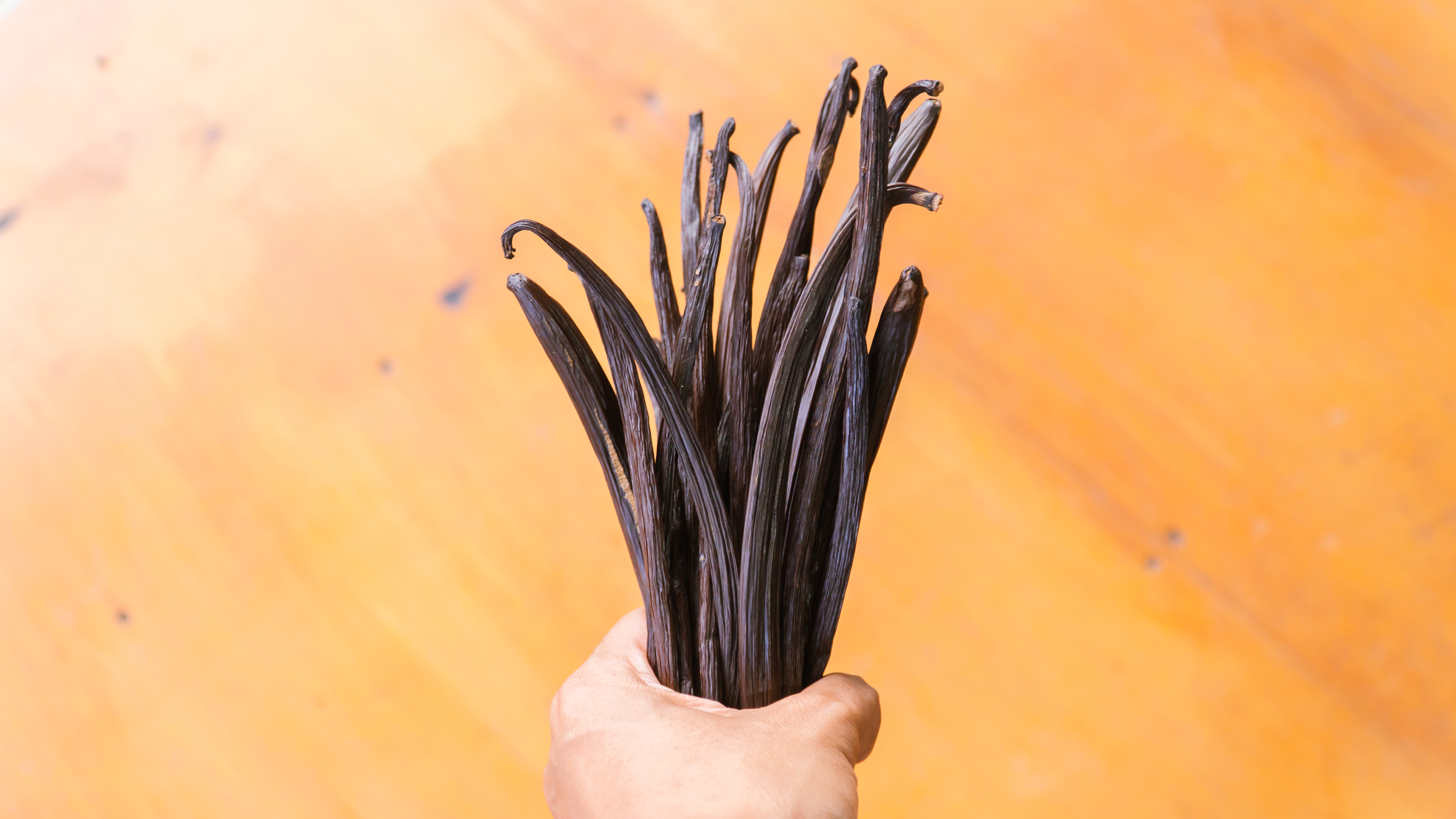 vanilla